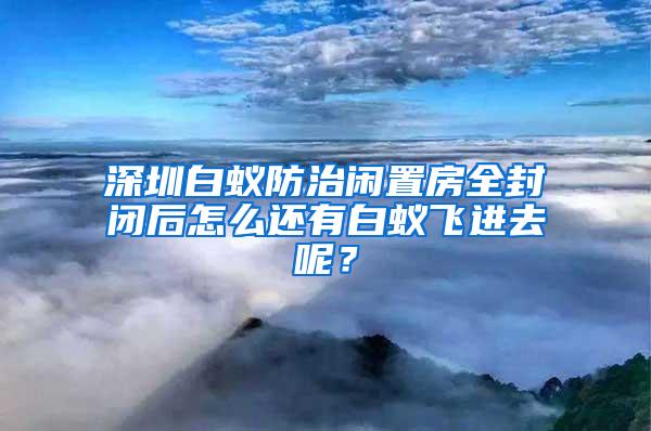 深圳白蟻防治閑置房全封閉后怎么還有白蟻飛進去呢？