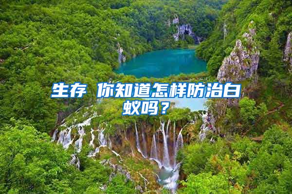 生存│你知道怎樣防治白蟻嗎？