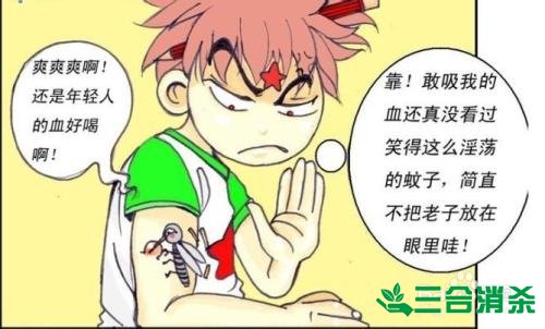 滅蚊公司,滅蚊子最有效的方法 滅蚊方法,滅蚊子方法