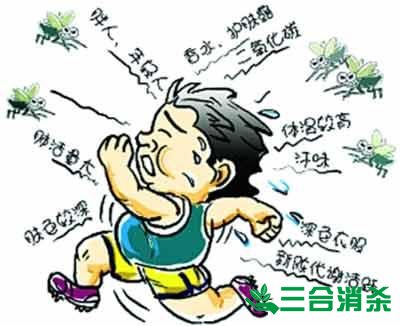 滅蚊公司,滅蚊子最有效的方法 滅蚊方法,滅蚊子方法