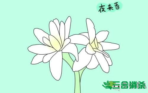 滅蚊公司,滅蚊子最有效的方法 滅蚊方法,滅蚊子方法